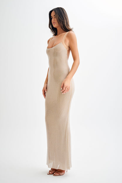 Crystal Mesh Backless Maxi Dress