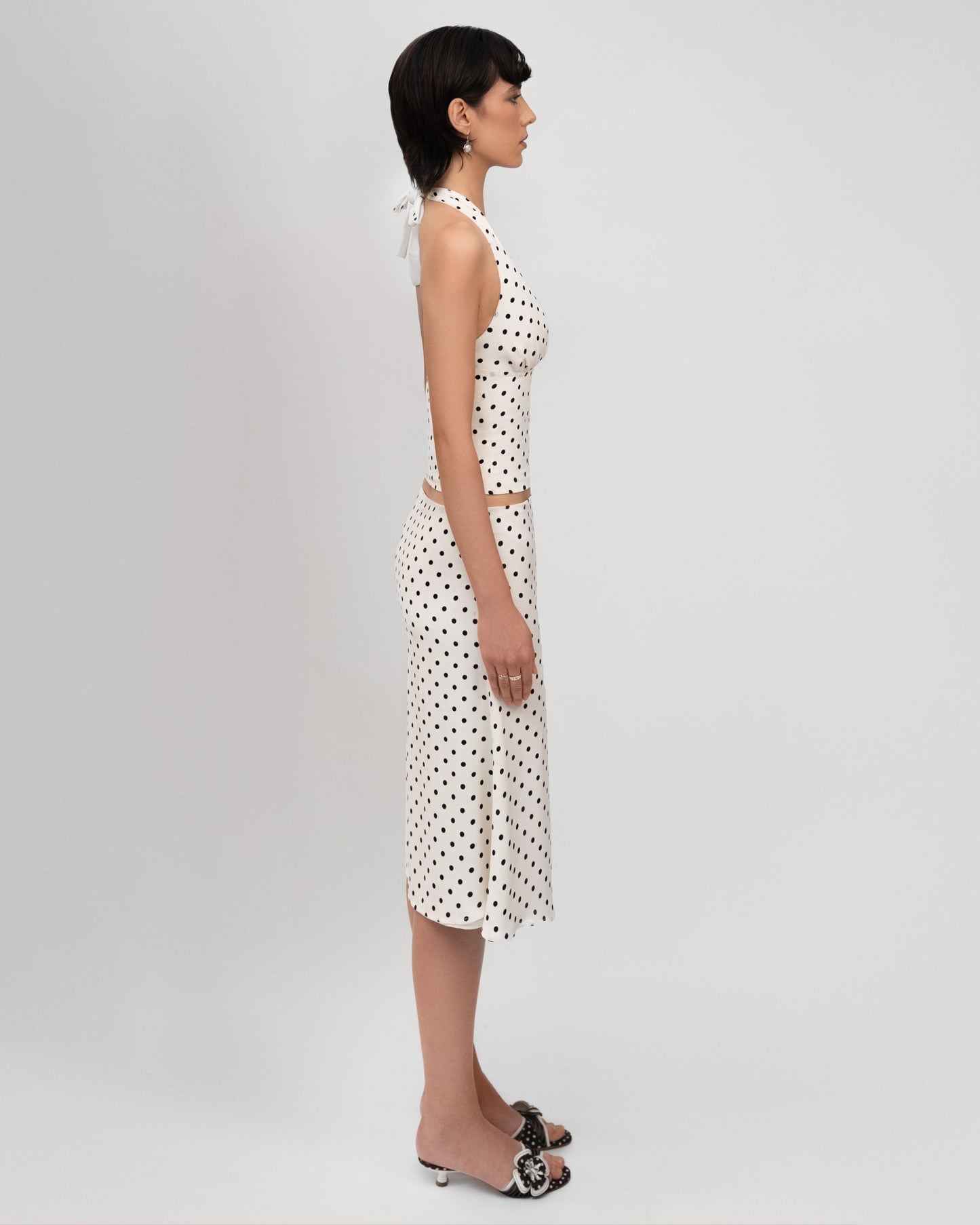 VANYLA ⎹ Dotty Set