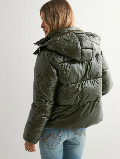 VANYLA ⎹ Lumina Puffer