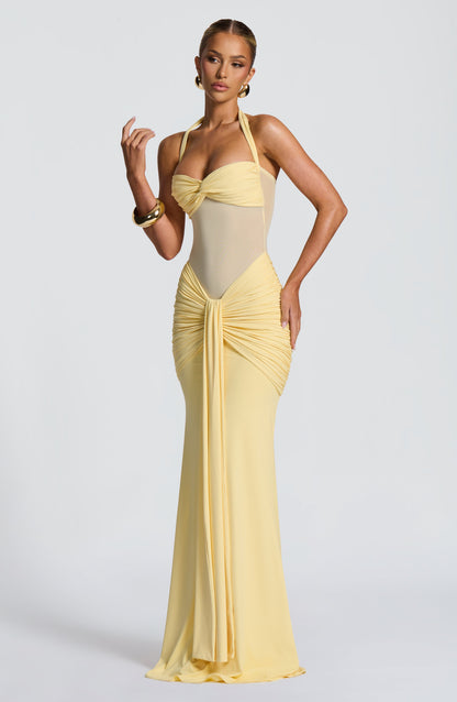 Luna Ruched Mesh Maxi Dress